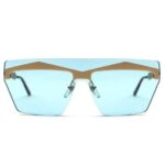 G-Spectacles -Toro GA